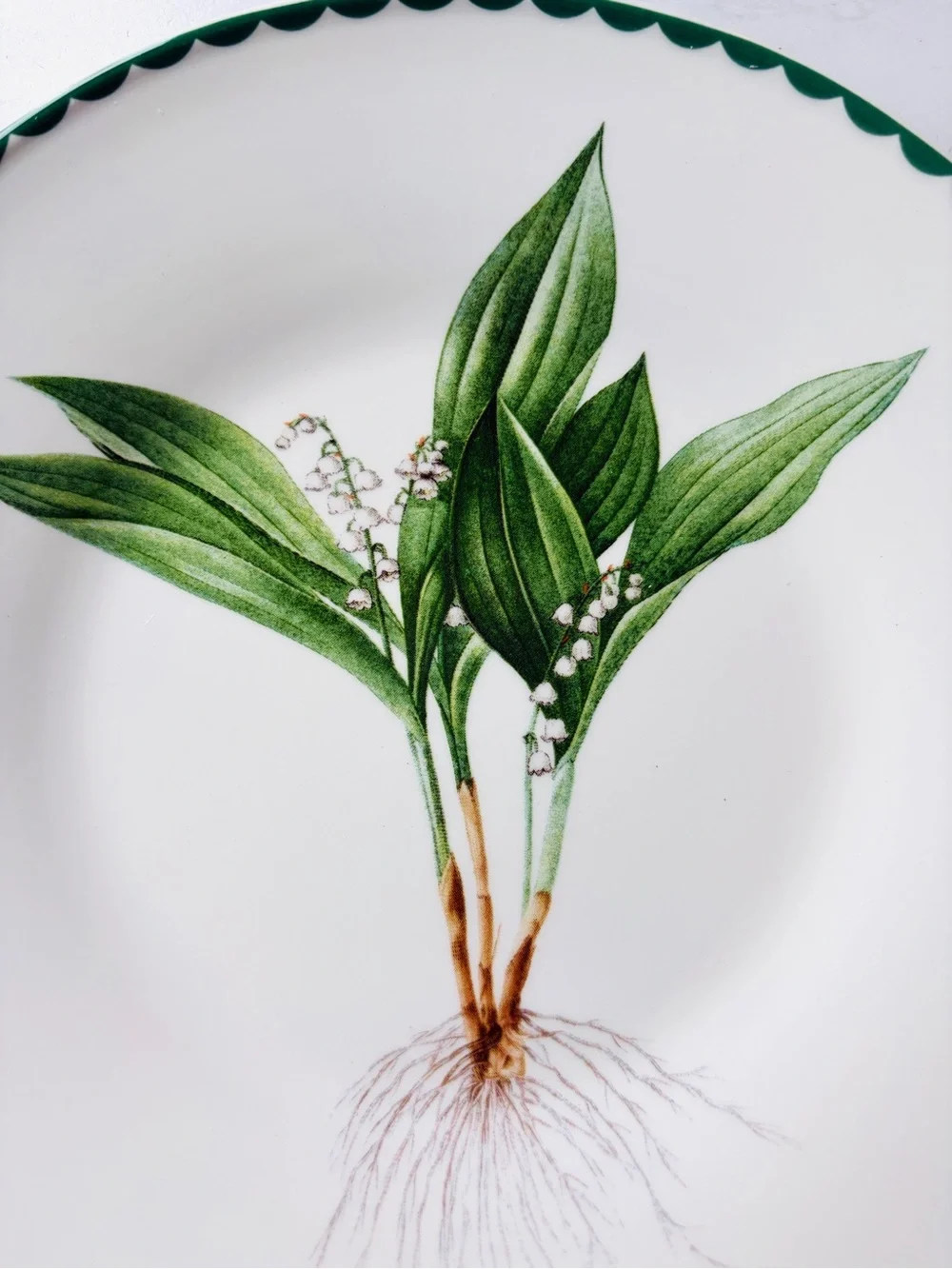 NEW Anthropologie by Terrain Spring Botanical Stoneware Plate Lily of the Valley